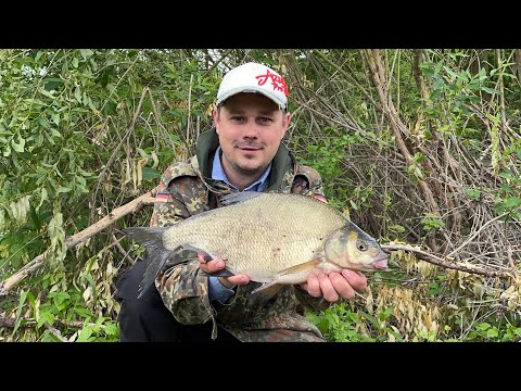 Видео: Фідерна рибалка на Ляща🔥, р. Стир. Прикормка, наживка ділюся напрацьованим досвідом ✌️