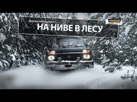 Видео: Штатная НИВА. ЛЕС. ЗИМА | Как провести время здорово | серия #40