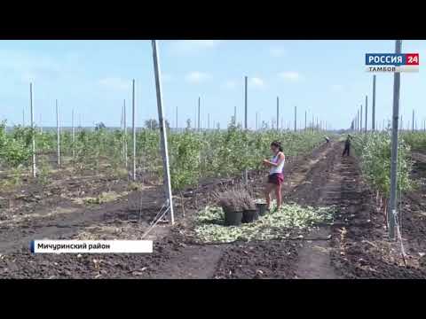 Видео: Репортаж Школа фермеров