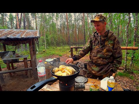Видео: Долгожданная рыбалка на таёжной речке! Щуки рвут снасти! Отличный улов!!! Это ещё только начало!!!))
