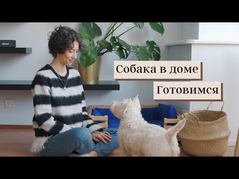 Видео: Как подготовиться к щенку в доме? Собака и покупки.