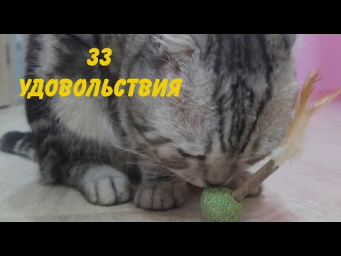 Видео: Геральт и 33 удовольствия