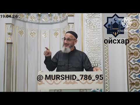 Видео: ИСА ХЬАЖА ОЙСХАР! СА1ИД БИН 1АМИРЕХ ЛАЬЦ ХАЗ ХЬЕХАМ! 19.04.2024г@MURSHID__