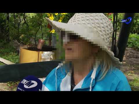 Видео: Женщина поверила телефонным мошенникам. Рассказ из первых уст