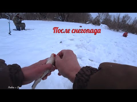 Видео: После Непогоды! Рыбалка Зимой в  Январе на Оке 2024!