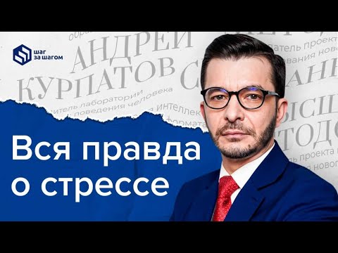 Видео: Стресс: причины, симптомы, профилактика