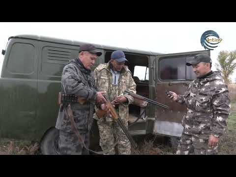 Видео: ҚЫРҒАУЫЛ АТУ / ОЛЖА / 11.11.2023