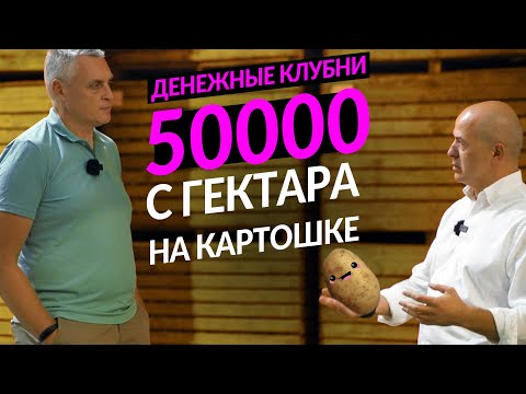 Видео: Как правильно выращивать картофель, чтобы заработать миллионы. Опыт Агрико