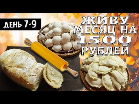 Видео: Выживаю месяц на 1500 рублей. Осень 2024 год. День 7-9.