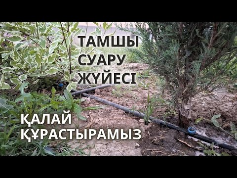 Видео: ТАМШЫЛАТЫП СУАРУ қалай орнатылады