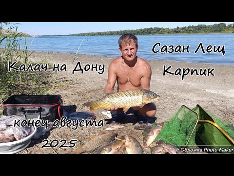 Видео: Удачная рыбалка. Сазан, лещ, карп. Калач на Дону. Конец августа 2025 года
