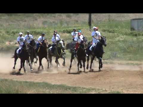 Видео: Жорго салыш, 2012 жылкы жорголор атактуу Тачанка, Олбур , Космос, Биотоп