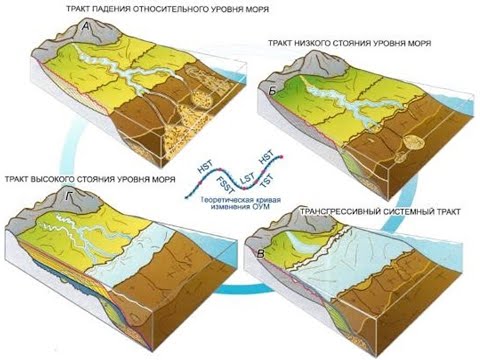 Видео: Сиквенс стратиграфия