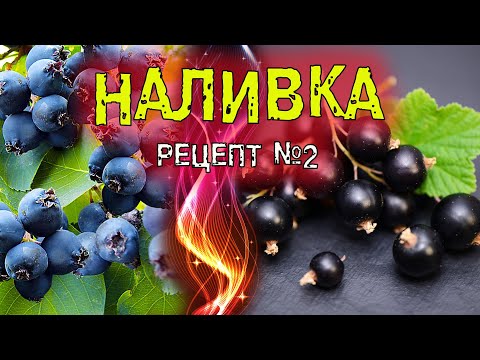Видео: Наливка из ирги и черной смородины. Рецепт №2