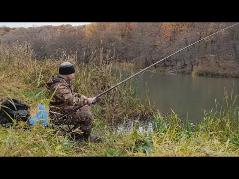 Видео: Рыбалка в октябре на поплавок. Ловля рыбы на удочку. Осенняя рыбалка!