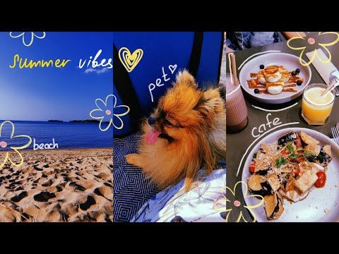 Видео: VLOG #17 | Последние недельки лета💛