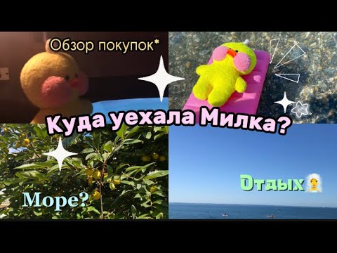 Видео: Куда Уехала Уточка Милка? Влог с моря🥥🌴