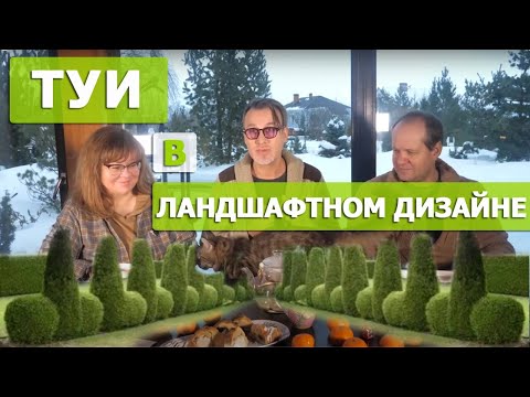 Видео: Туя западная: цвет, форма, сорта, место в саду