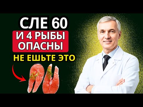 Видео: Не ешьте это! Эта рыба разрушает сосуды после 60!