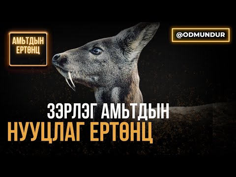 Видео: Зэрлэг амьтдын нууцлаг ертөнц - АМЬТДЫН ЕРТӨНЦ