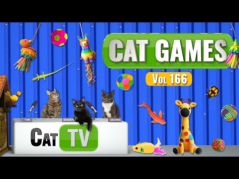 Видео: CAT Games | Ultimate Cat TV Compilation, том 166 | 8 ЧАСОВ 🐝🐞🦋🦎🦜🐜🐭🧵