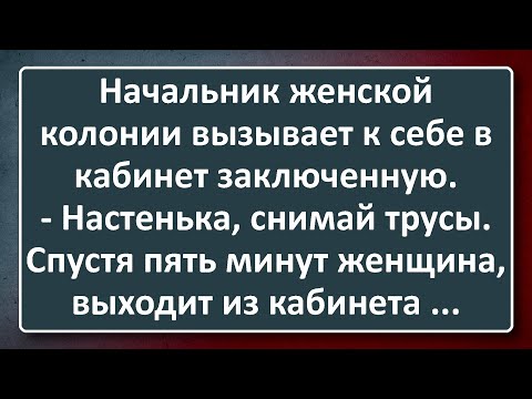Видео: Начальник Женской Колонии! Подборка Лучших Анекдотов Синего Предела