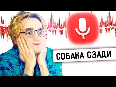 Видео: ЭТУ ЗАПИСЬ НАШЛИ ГОЛОСОМ В ГУГЛЕ... (зачем?)