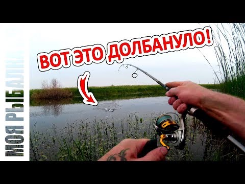 Видео: Ловим хищника на поверхностные приманки | Поппер рулит | 2018