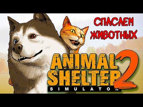 Видео: ПРИЮТ ДЛЯ ЖИВОТНЫХ ❤︎STEAM❤︎ (ANIMAL SHELTER 2) #animalshelter2