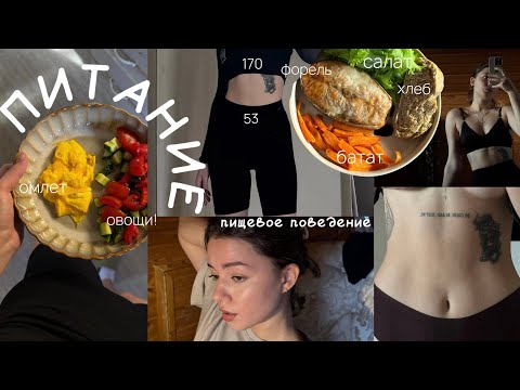 Видео: Бережный подход в питании. Без ограничений и срывов. Психолог о важном. 