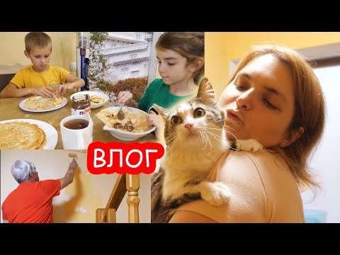 Видео: VLOG Получается красиво