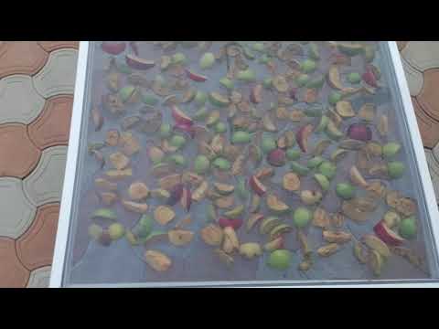 Видео: Сушилка для овощей и фруктов. Заготовка на зиму.
