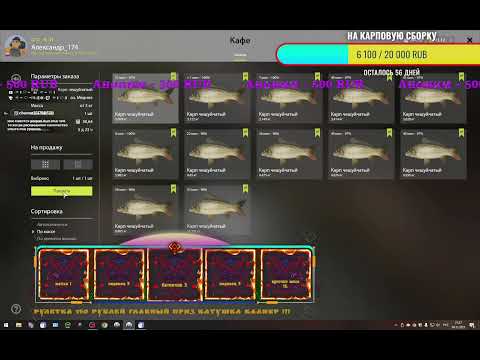 Видео: Моя трансляция