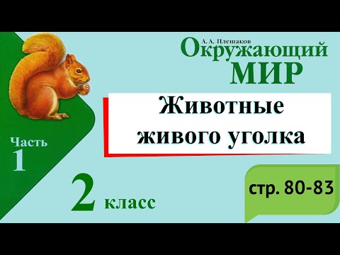 Видео: Животные живого уголка. Окружающий мир. 2 класс, 1 часть. Учебник А. Плешаков стр. 80-83