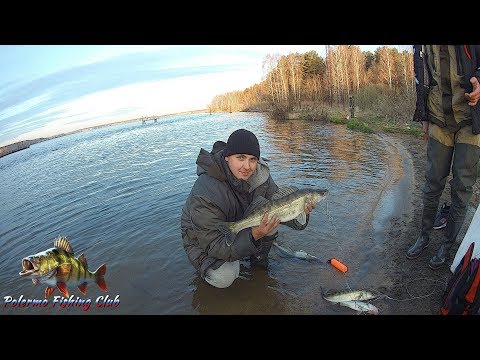 Видео: Ночная рыбалка на переливе Белоярского водохранилища с 17 на 18 мая