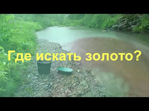 Видео: Где искать золото?