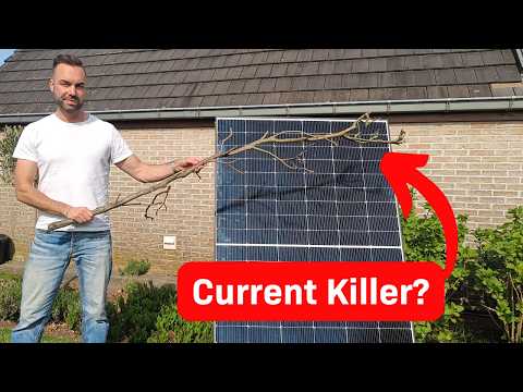 Видео: Эффекты затенения на солнечной панели: ветви, провода и частичная тень