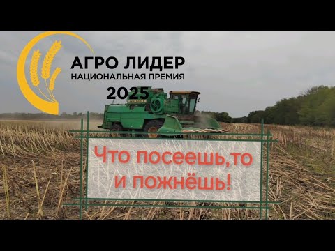 Видео: Уборка неурожая подсолнечника 2025!!!