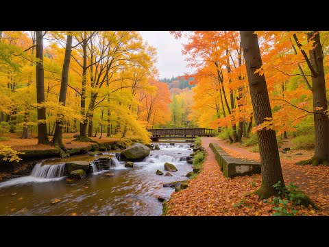 Видео: Красивая расслабляющая музыка 🌿 Музыка для снятия стресса, избавления от лишних мыслей, успокаивающ