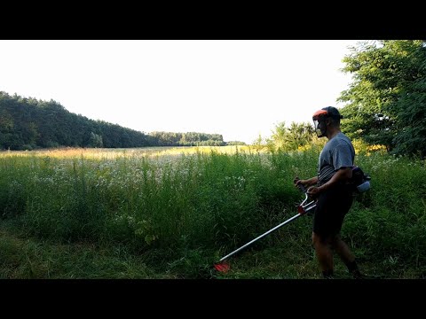 Видео: Испытания 4 тактной мотокосы Vitals 4714-4a на большей площади