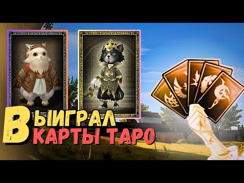 Видео: Как я выиграл в новые карты таро. Удачные 150 карт | Lineage 2 main