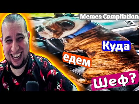 Видео: РЕАКЦИЯ МАНУРИН СМОТРИТ MEMES COMPILATION - WATCH THE MANYRIN ПРИКОЛЫ #реакция #reaction
