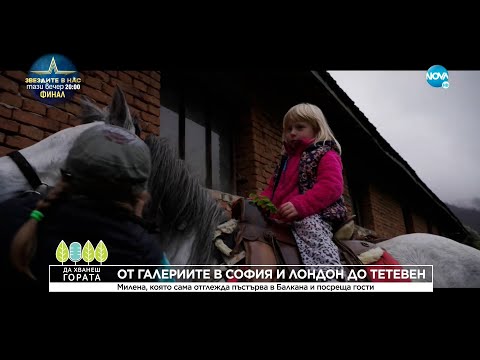 Видео: Да хванеш гората (11.12.2022)