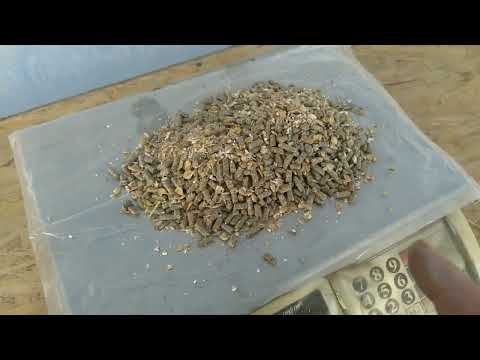 Видео: Сколько уходит корма в сутки на одного кролика.