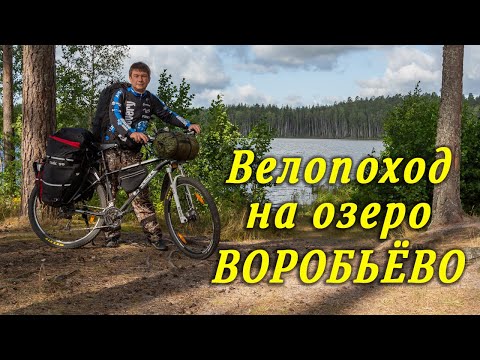 Видео: Одиночный  велопоход  на оз. Воробьево 2019