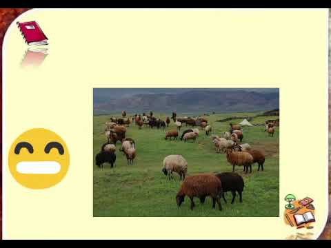 Видео: Дүниетану 4 сынып Қазақ халқының шығу тегі