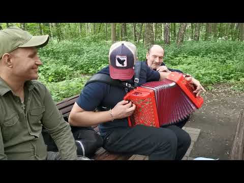 Видео: Измайловский пятачок гармонист Алексей Ольховый