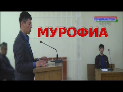 Видео: ТВТ | Мурофиа: 24.04.2017