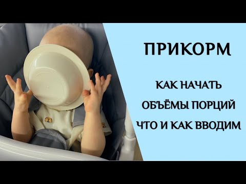 Видео: ПРИКОРМ | ОТВЕЧАЮ НА ВАШИ ВОПРОСЫ
