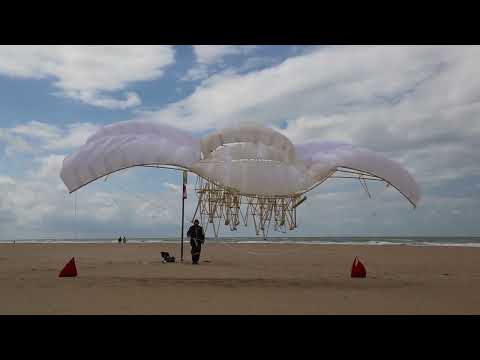 Видео: Тео Янсен и его необычные кинетические скульптуры